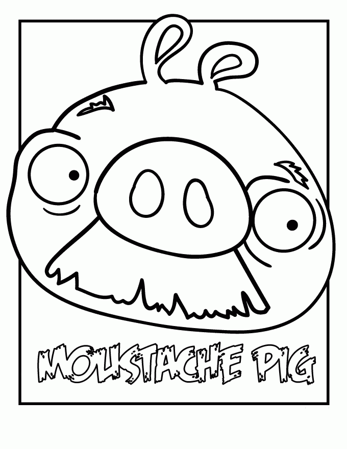 Plansa de colorat cu Angry Birds 45 97